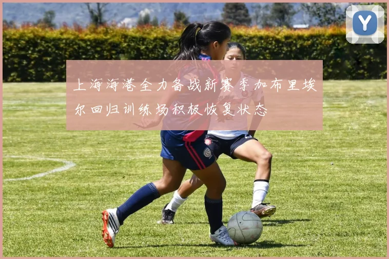 上海海港全力备战新赛季加布里埃尔回归训练场积极恢复状态
