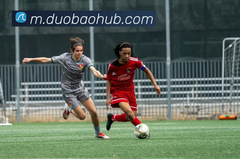 多宝电竞app发展历程